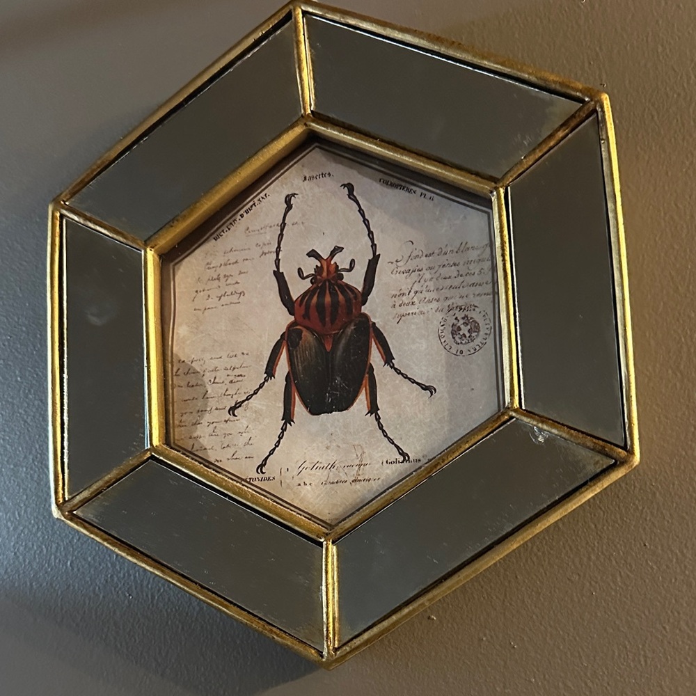 Hexagonal Gold and Black Insect Wall Decor